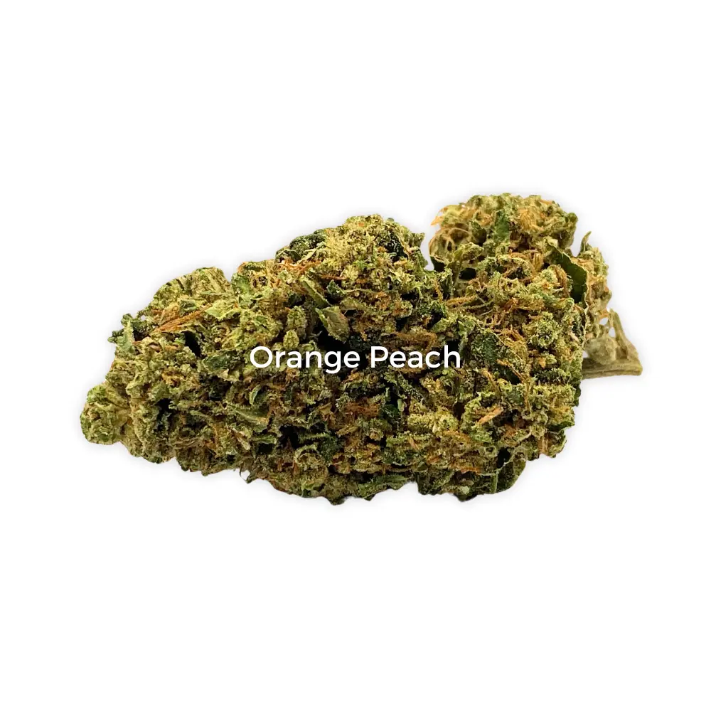 Orange Peach THCA Flower (2) 1