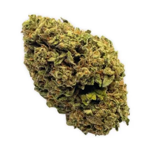 Blue Razz THCA Flower (2)
