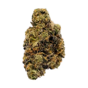 Purple Baby Yoda THCA Flower PL Indoor (2)