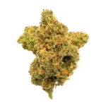 Tangerine Dream THCA FLOWER 1 (1)