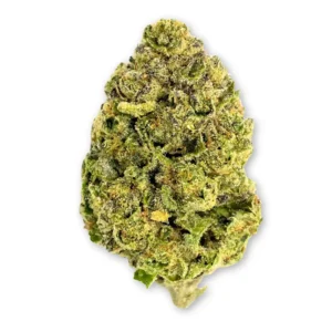 Rainbow Runtz THCA Flower