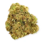 Gelato 33 THCA Flower