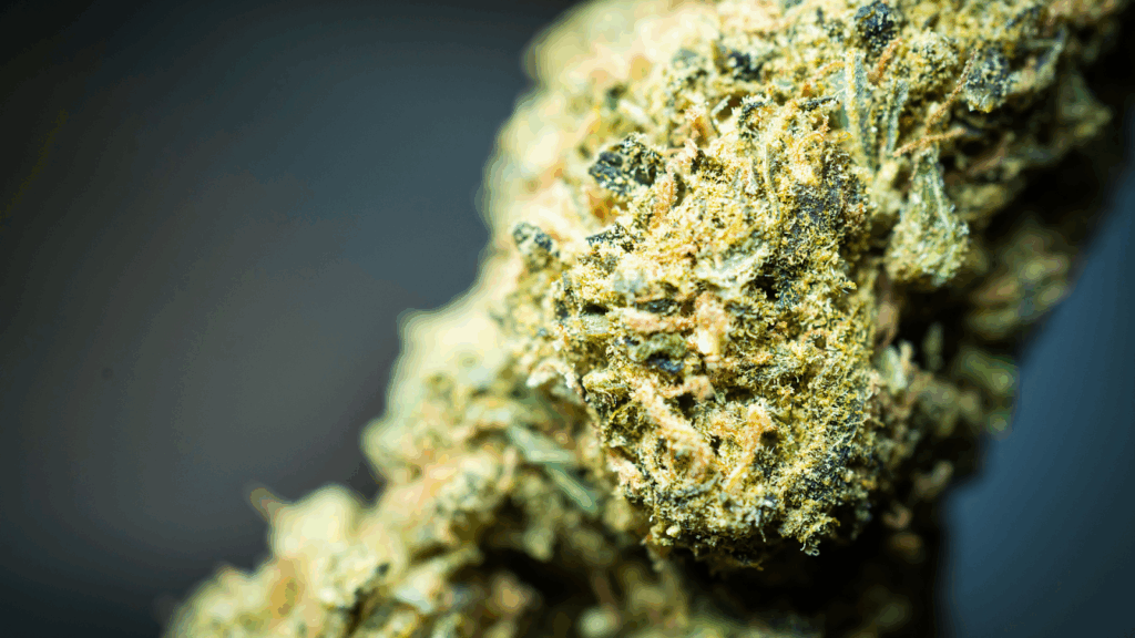 Is THCA Psychoactive