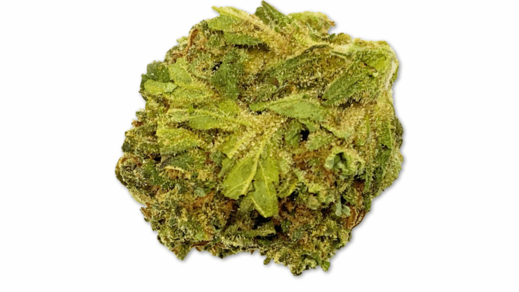 Close-up image of Duban Poison x Lemon Party