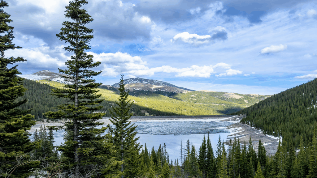 How To Open A Dispensary In Colorado