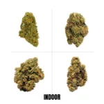 4-qp-split-thca-flower-INDOOR_wholesale