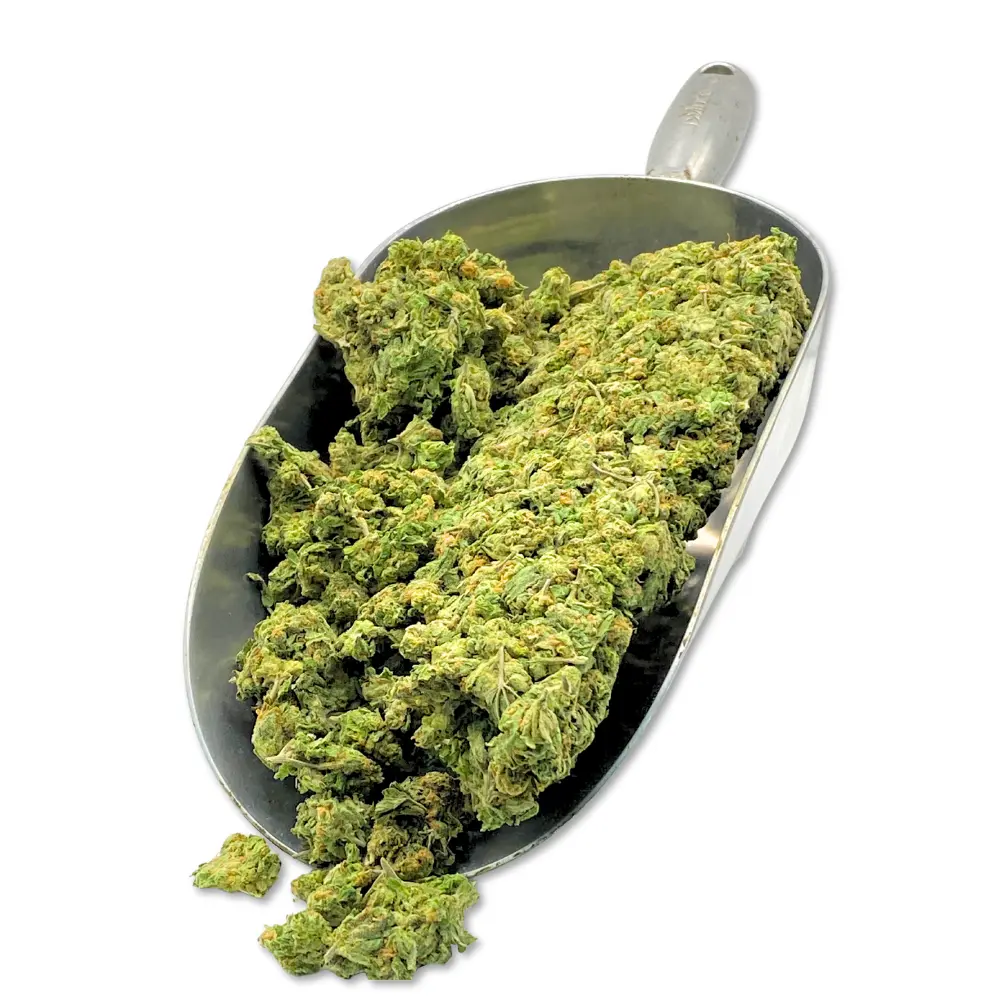 Blue dream THCA Flower Smalls