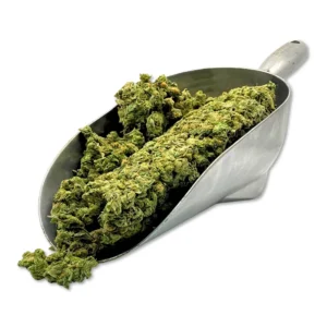 Blue dream THCA Flower Smalls