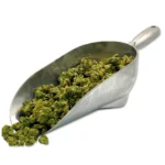 Cereal Milk THCA Flower (Smalls)