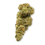 Kush Mints THCA Flower