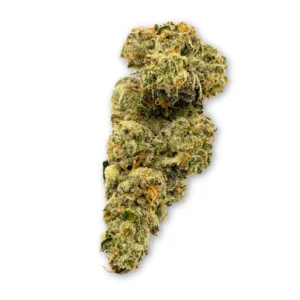 Kush Mints THCA Flower