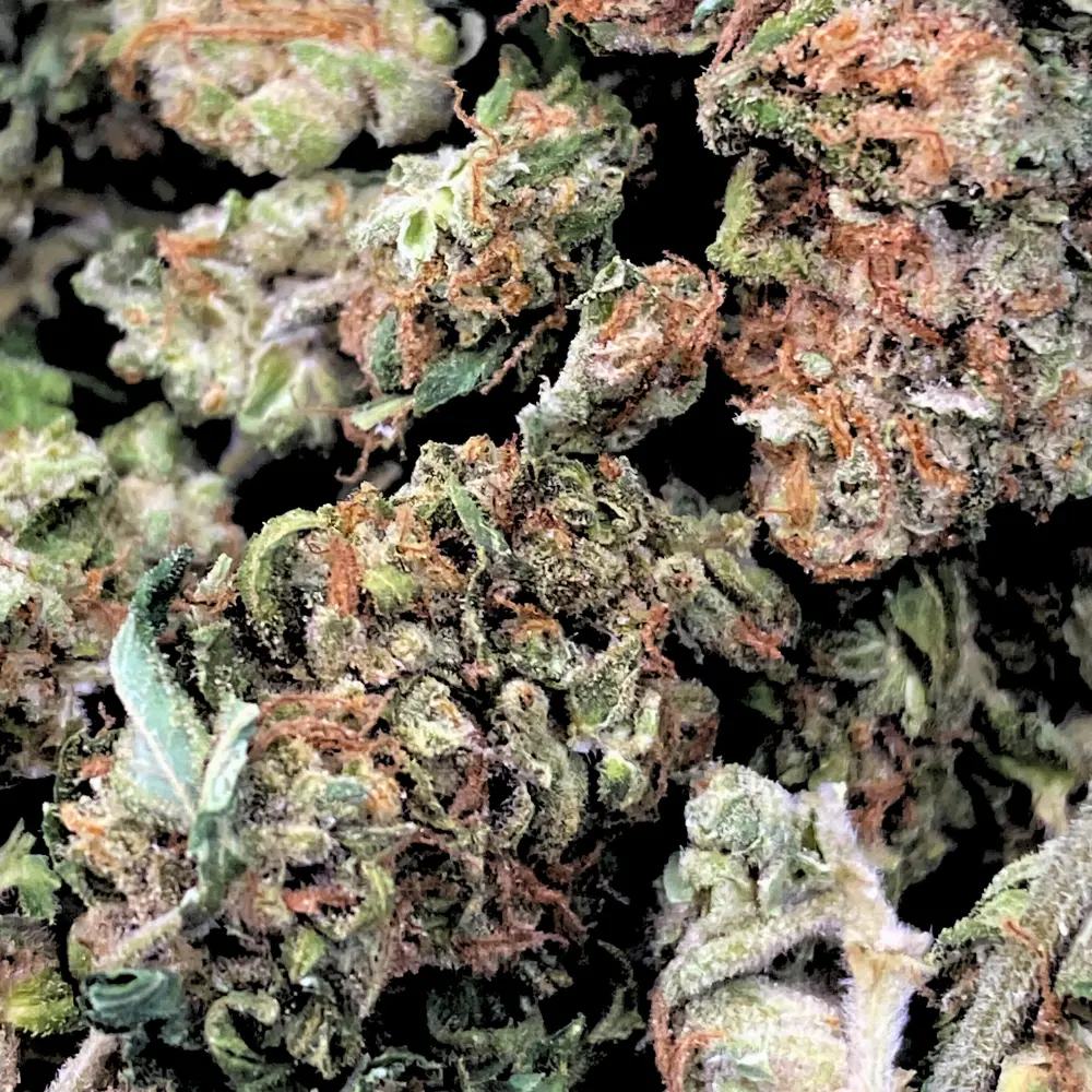 Midnight Fuel THCA Flower Smalls