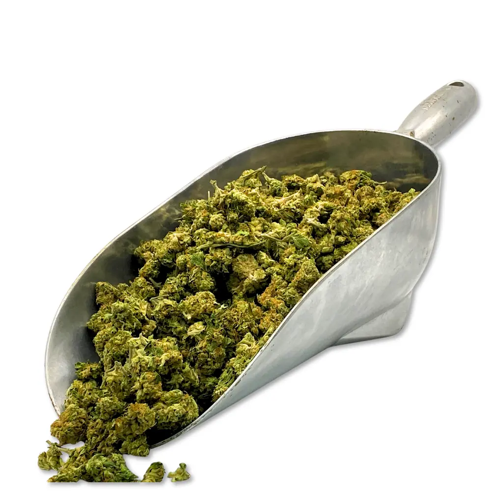 Midnight Fuel THCA Flower Smalls