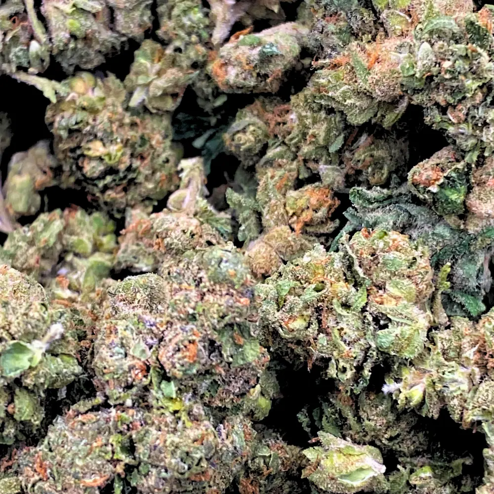 Permanent Marker THCA Flower