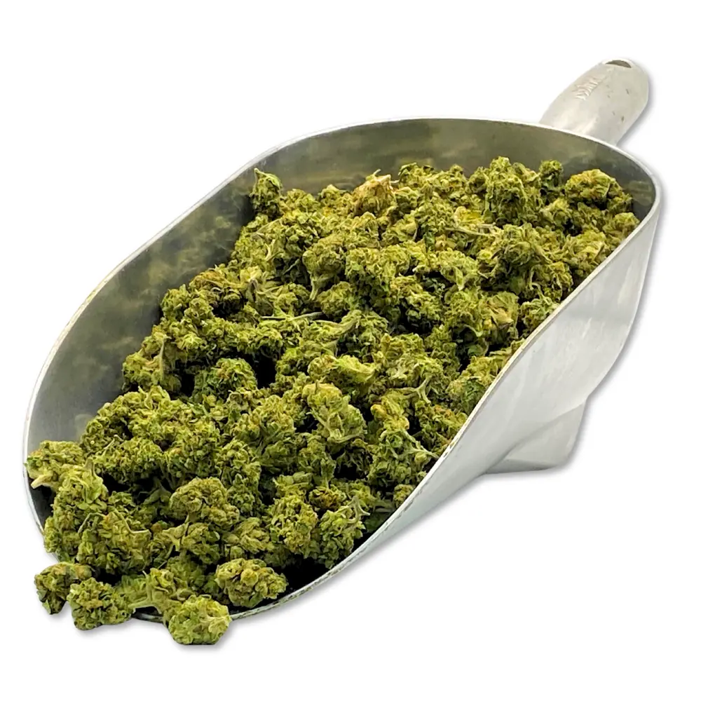 Permanent Marker THCA Flower