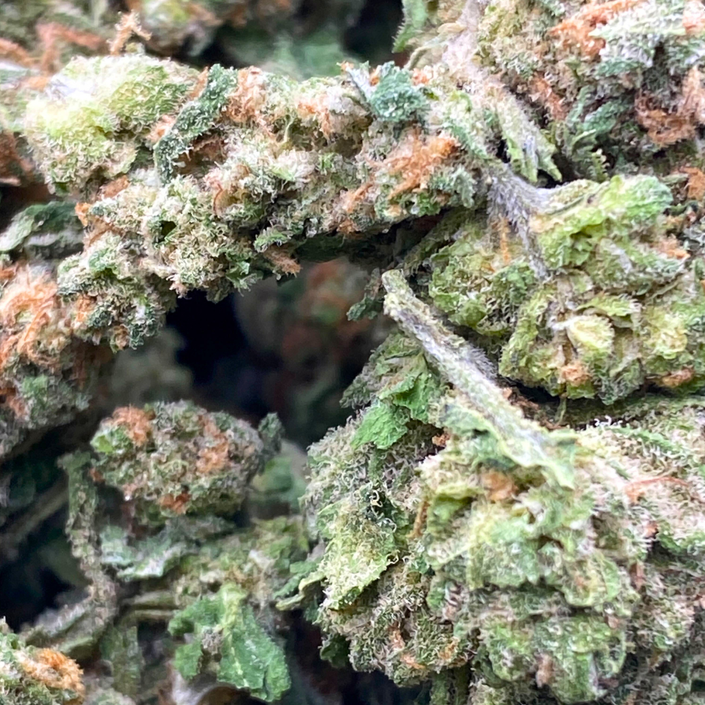 Dream Queen THCA Flower Smalls