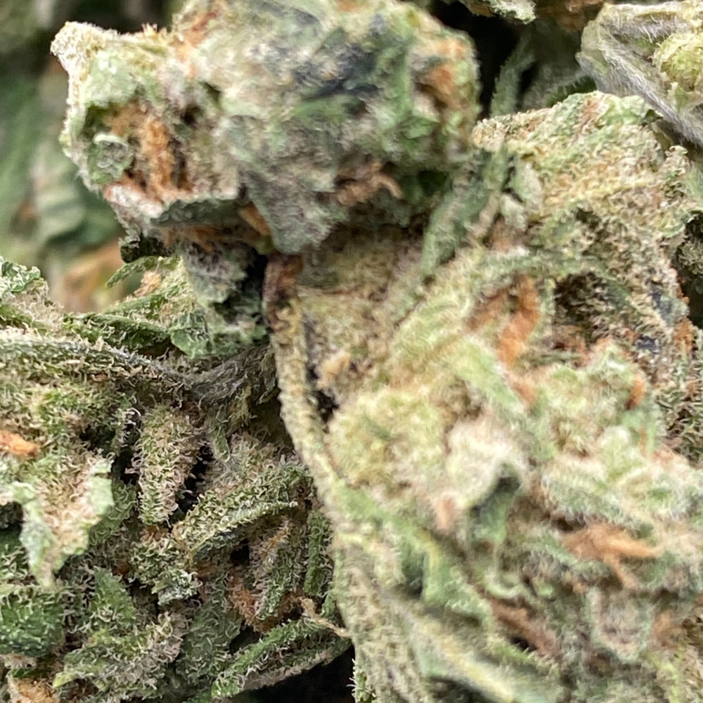 Dream Queen THCA Flower Smalls