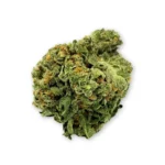 Gelato 41 x WZ THCA Flower