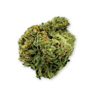 Gelato 41 x WZ THCA Flower