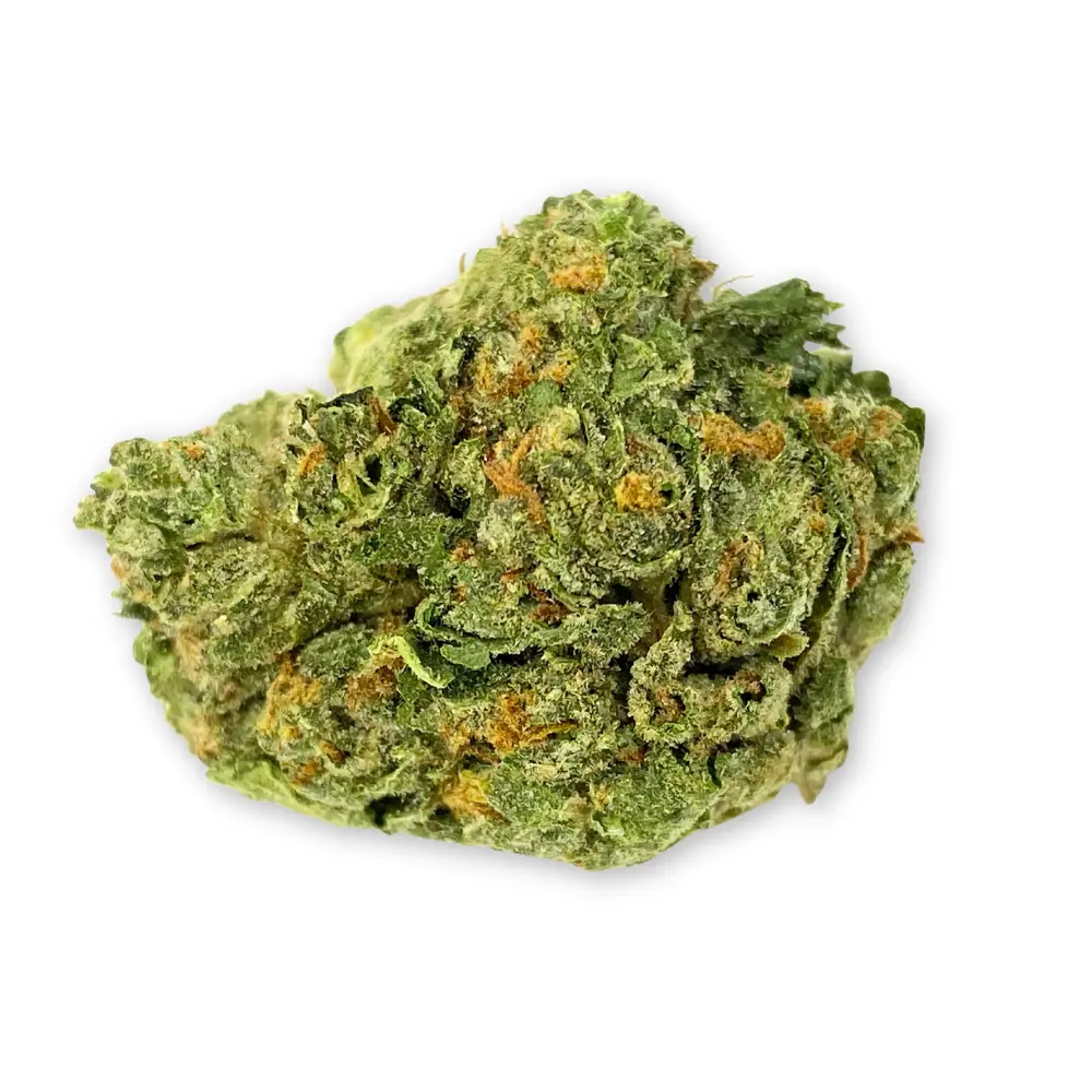 Gelato 41 x WZ THCA Flower