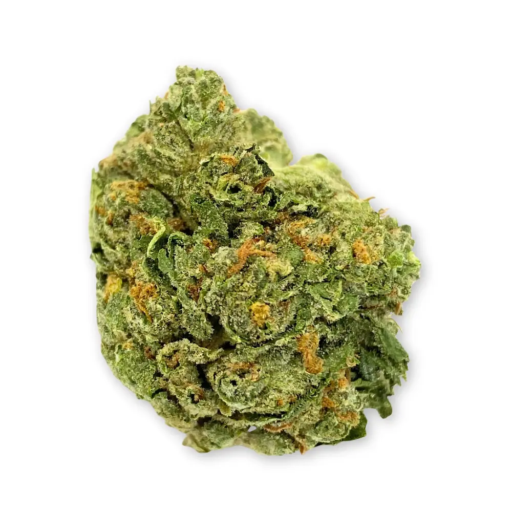 Gelato 41 x WZ THCA Flower