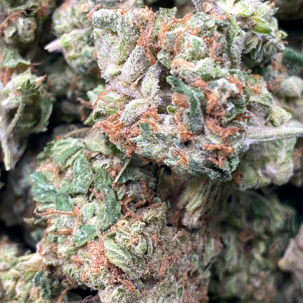 Grandma Joe THCA Flower Smalls