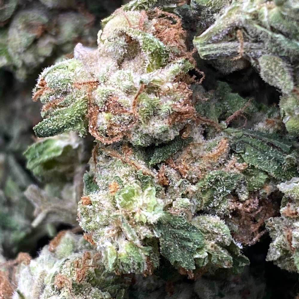 Grandma Joe THCA Flower Smalls