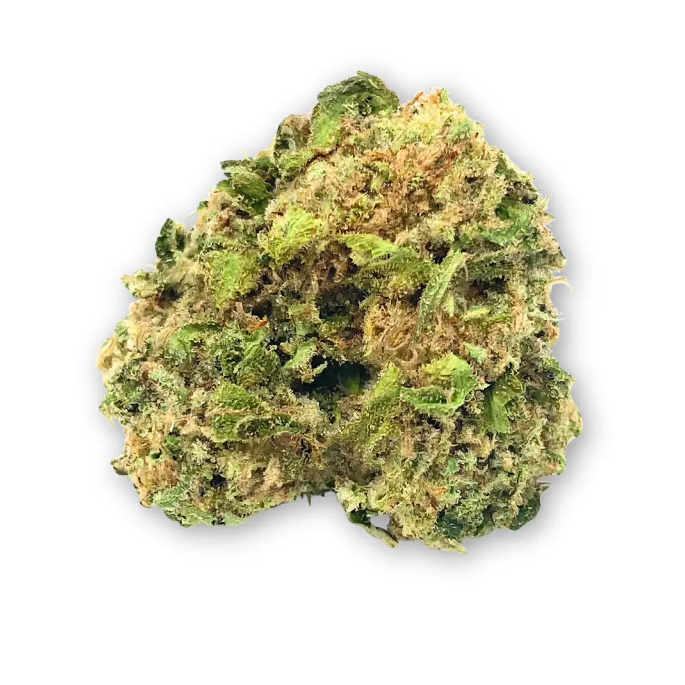 Orange Cookies THCA Flower