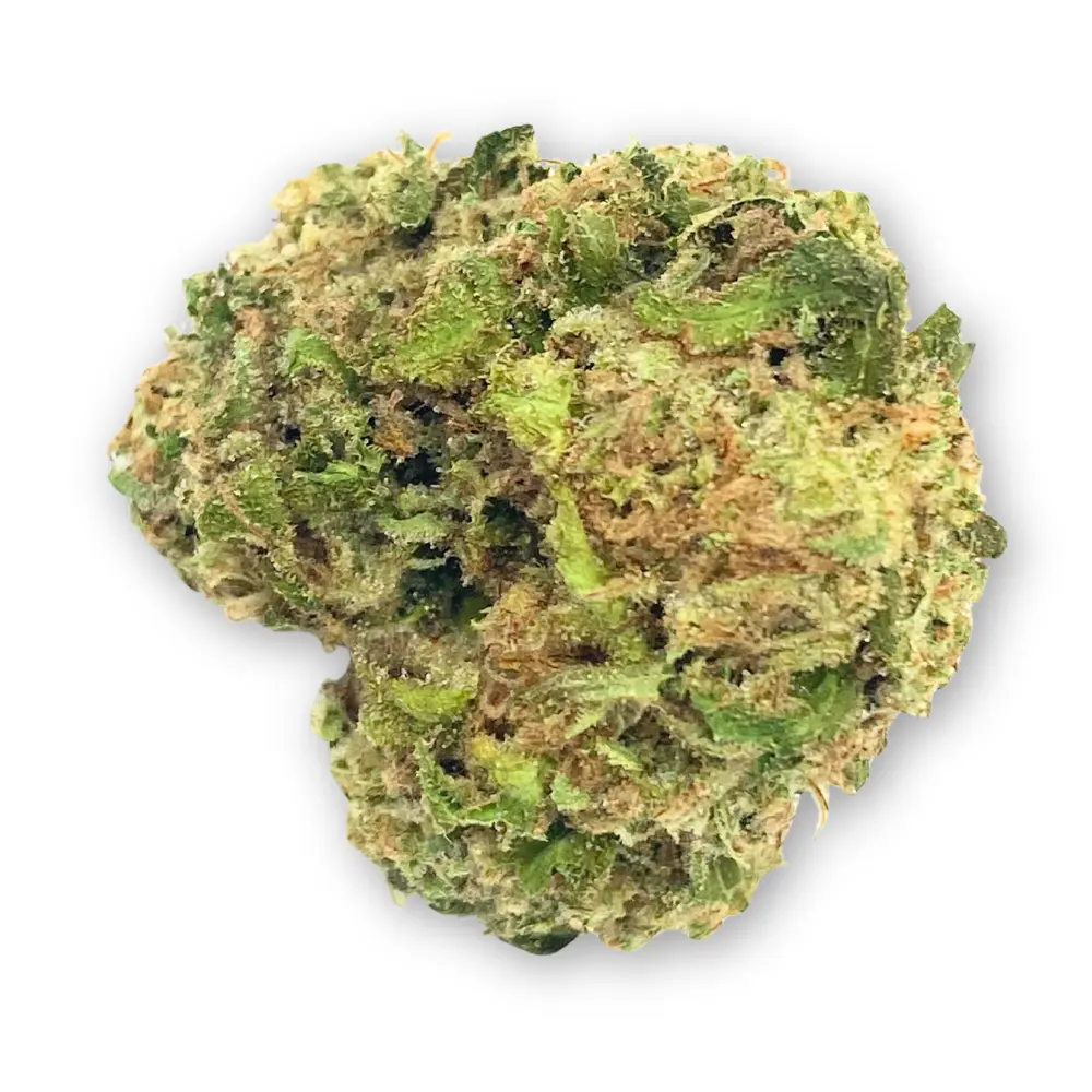 Orange Cookies THCA Flower