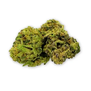 Purple Runtz THCA Flower