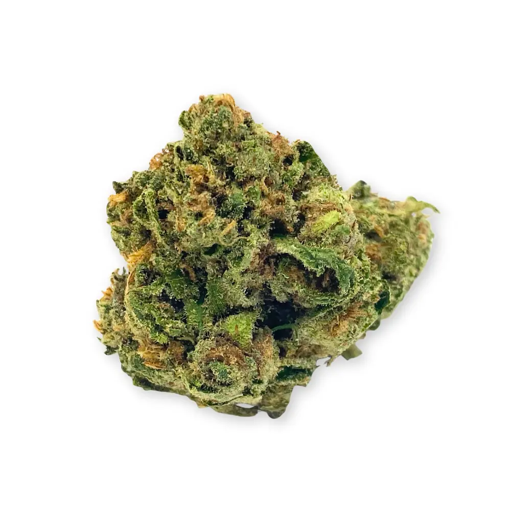 Santa Cruz Blue Dream THCA Flower