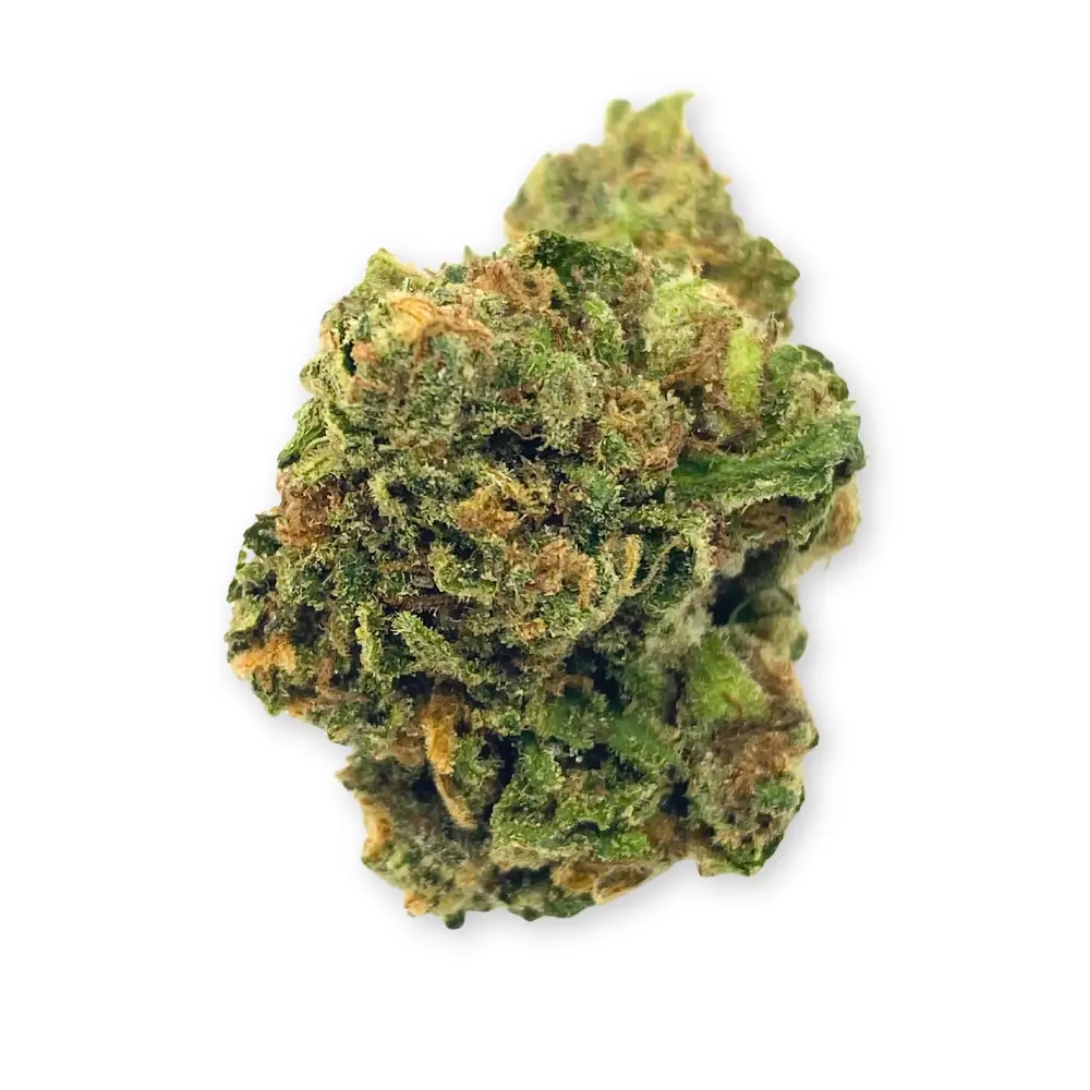 Santa Cruz Blue Dream THCA Flower