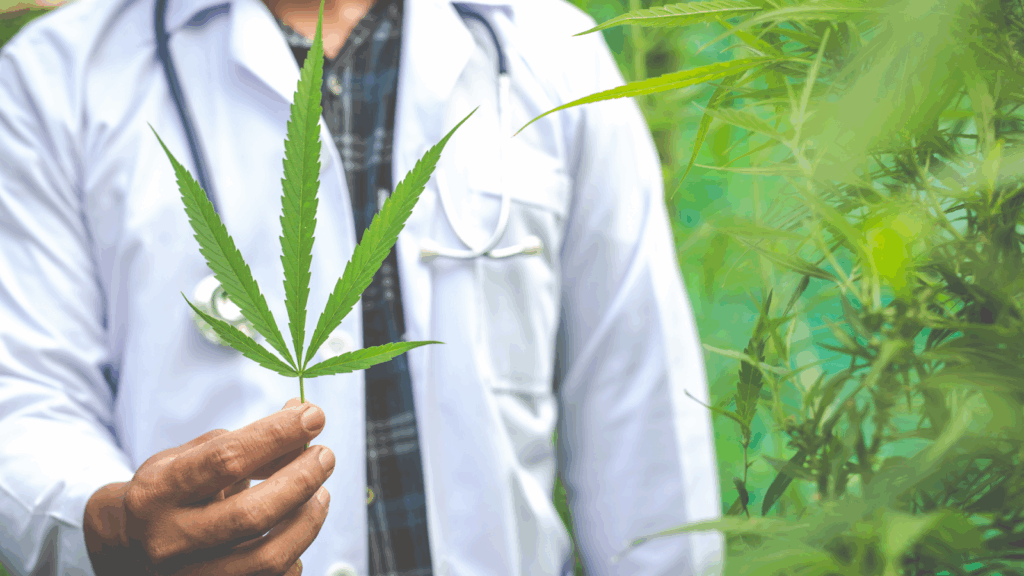 How Is THCA Flower Made And Preserved For Maximum Potency