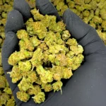 After Dark THCa Smalls Pounds