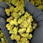 Bubble Bath THCa Smalls Pounds