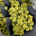 Cake THCA Smalls Pounds