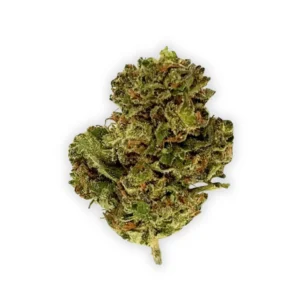 Cali Durban Poison x Lemon Party THCA Flower