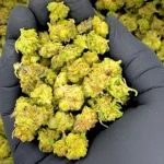 Grapple Pie THCa Smalls Pounds